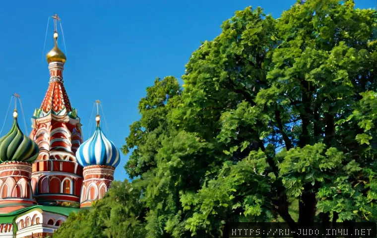 Дзюдо или тхэквондо: что выбрать ребёнку и взрослому по целям, нагрузке и стоимости 4 유도와 태권도의 차이점 관련 이미지 2